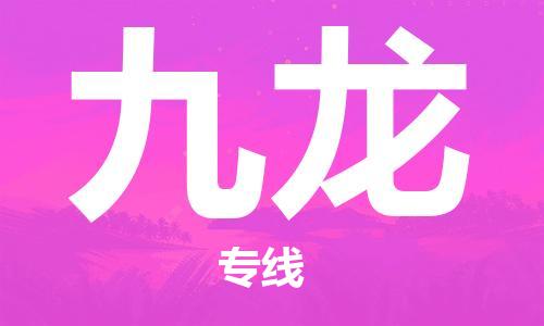 武汉到九龙物流公司-武汉至九龙专线-让您的货物更加省时省力